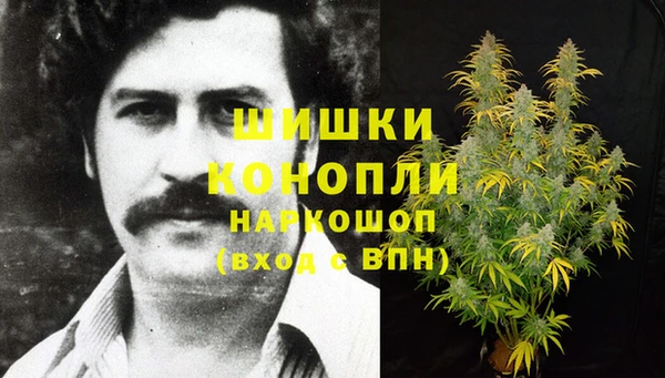 шишки Зерноград