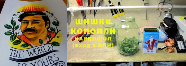 шишки Зерноград