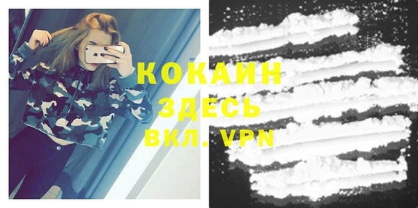 шишки Зерноград